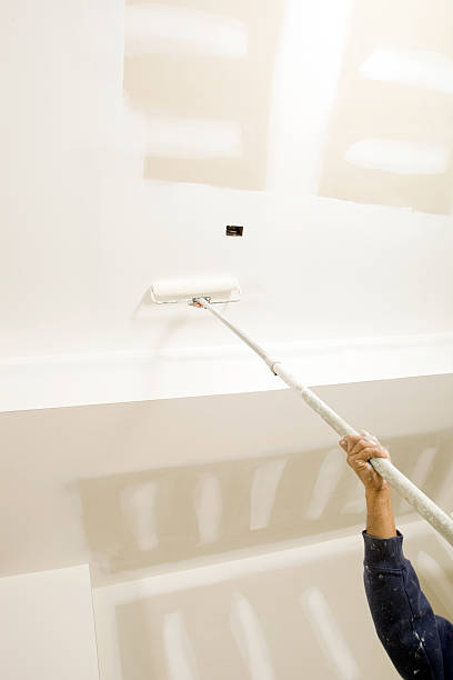 Best Post-Construction Mold Inspection  in North Kansas City, MO